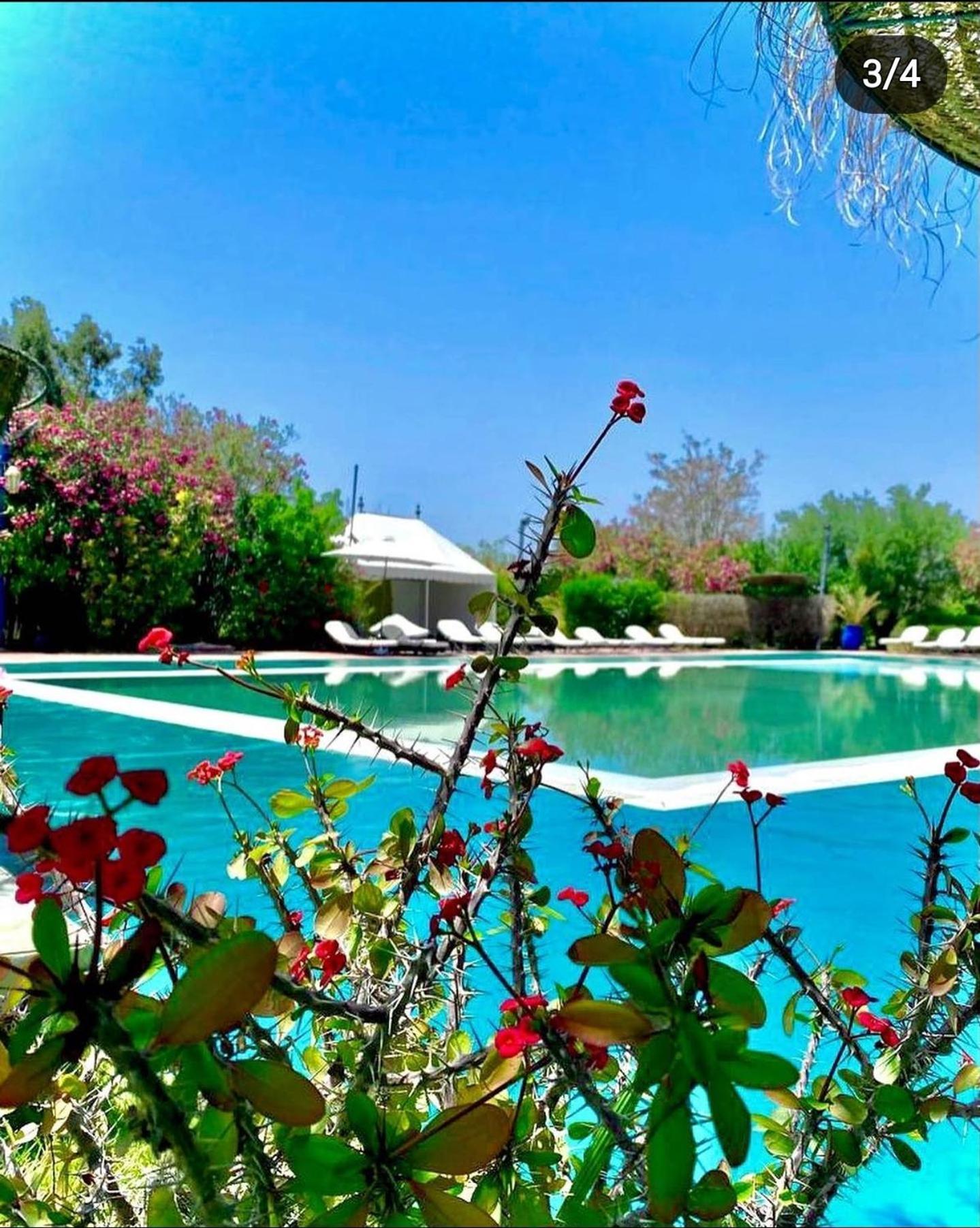 Les Jardins D Isis Hotell Marrakesh Eksteriør bilde